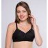 Trylo Krutika Plain Bra (2 Pcs ) PLUS SIZE BRA