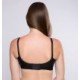 Trylo Krutika Plain Bra (2 Pcs ) PLUS SIZE BRA